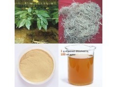 人參提取物_商城_西安天瑞生物技術(shù)供應(yīng)部會(huì)員商鋪-中國(guó)貿(mào)易網(wǎng)-會(huì)員網(wǎng)站