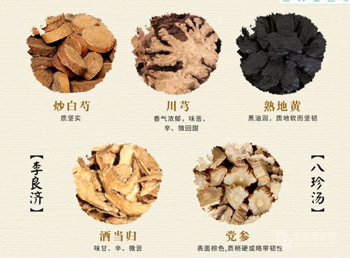 八珍湯提取物 訂制八珍湯提取濃縮液 廠家 訂做批發(fā)價格 陜西 斯諾特生物 植物提取物