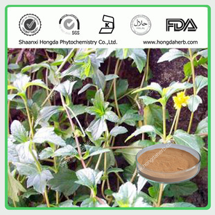 植物提取物-專業(yè)植提廠家,現(xiàn)貨供應蕁麻提取物,純天然優(yōu)質(zhì)原料藥,質(zhì)優(yōu)價廉-植物提.