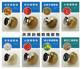 雞內金提取物生產廠家 固體飲料代加工 50ml液體飲料代加工 oem