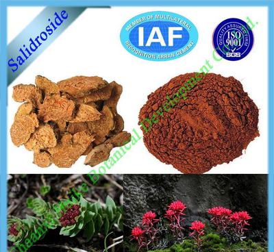 【陜西慧科廠家優(yōu)質(zhì)山楂提取物】價(jià)格_廠家_圖片 -